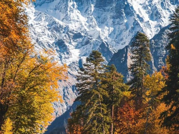 Легендарный маршрут в Домбай: перевалы, древности и вершины - фото 3