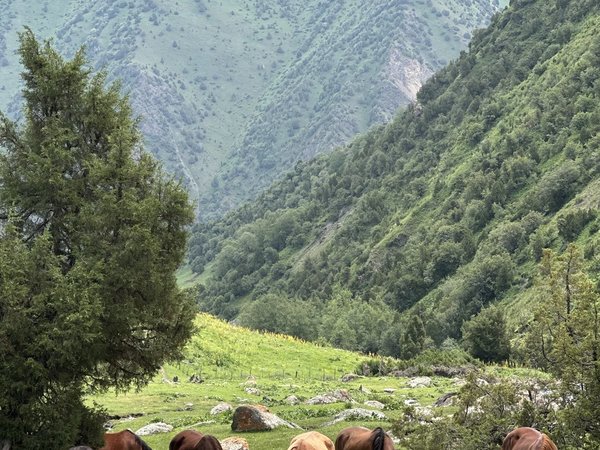 Памирские ландшафты: джип-тур к озеру Тулпар-Кёль только для вашей компании (всё включено) - фото 4