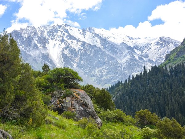 Из Ташкента — в сердце Тянь-Шаня! - фото 1