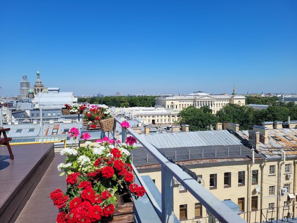 По Питеру — нескучно! Обзорная экскурсия и подъём на крышу - фото 3