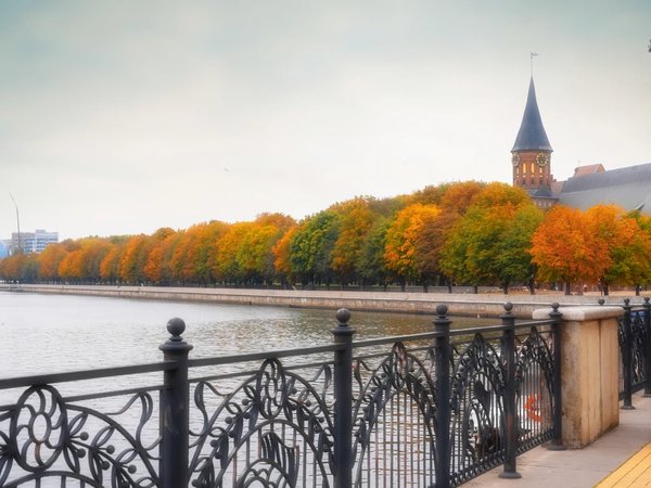 Гранд-тур по Калининграду и области с выбором экскурсий - фото 4