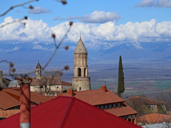 Винные Грузия и Армения: гастрономический тур с дегустациями - фото 4