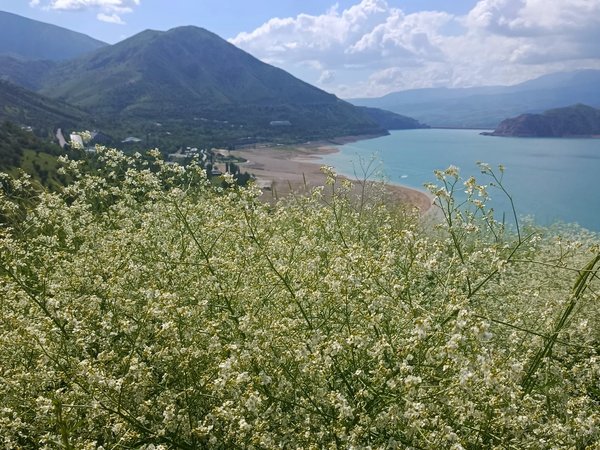 Кулинарный мастер-класс, пикник и отдых на берегу Чарвака - фото 2