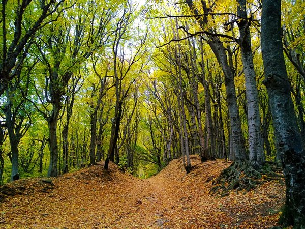 Пешком из Кисловодска к горе Малое Седло - фото 3