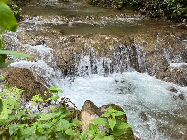 Из Дилижана — к древним монастырям, скрытому водопаду и пикнику на озере - фото 2