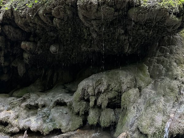Из Дилижана — к древним монастырям, скрытому водопаду и пикнику на озере - фото 4
