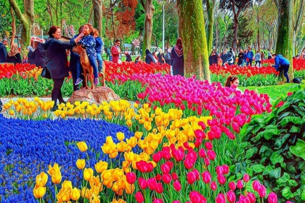 Фото экскурсии - Прикоснитесь к сердцу Стамбула: прогулка по главным достопримечательностям - 6