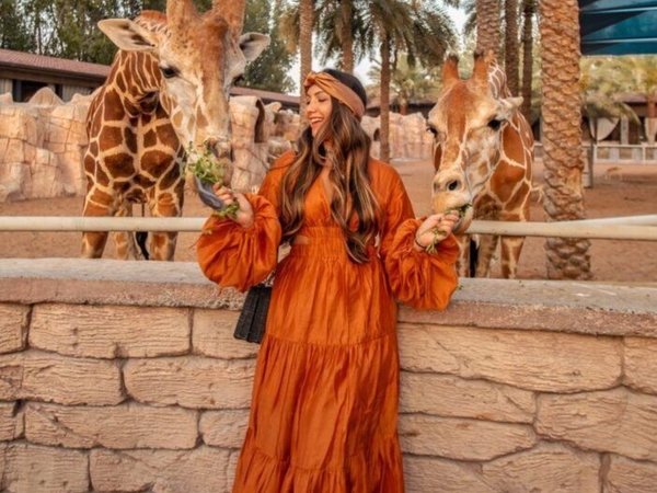 Трансфер в Dubai Safari Park и тропический лес Green Planet - фото 3