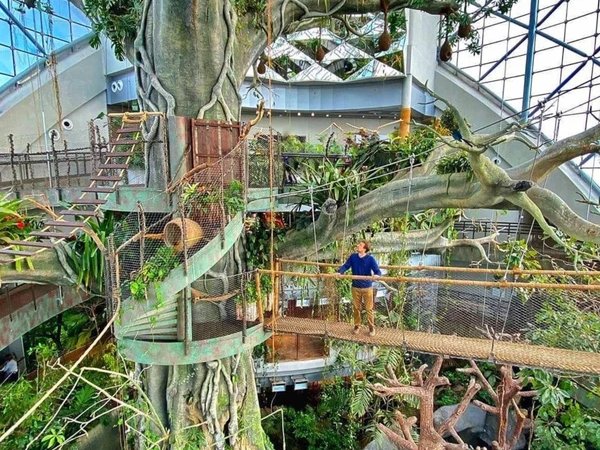 Трансфер в Dubai Safari Park и тропический лес Green Planet
