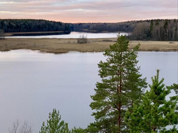 Лесная сказка: погружение в природу Карельского перешейка - фото 2