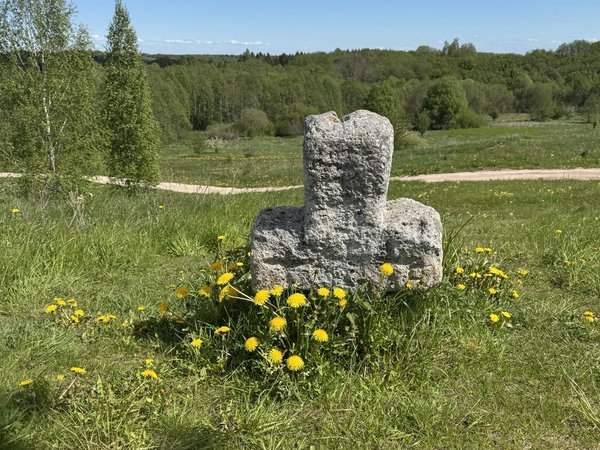 Изборск: от древности до современности (на вашем автомобиле) - фото 2