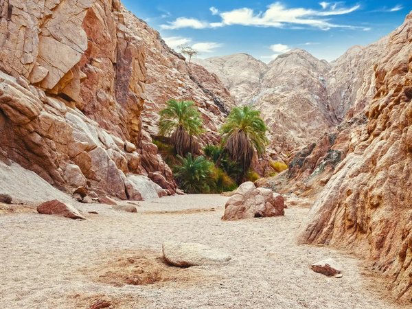 Два каньона Синая, Дахаб и Голубая дыра — из Шарм-эль-Шейха - фото 2