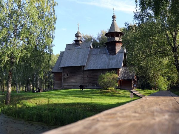 Костромской трип: выходные на Волге с посещением лосиной фермы и дегустацией в Музее сыра - фото 4