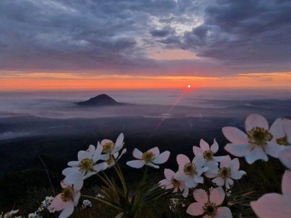 Хайкинг с хаски на гору Машук - фото 2