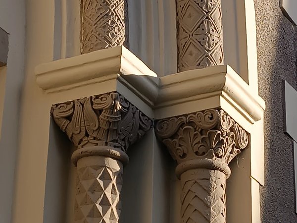 Фантастические твари и места их обитания в Калининграде - фото 2