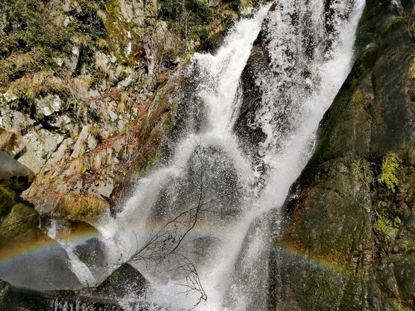 Треккинг к водопаду Кейва - фото 2