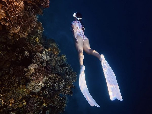 Подводная съёмка в Красном море - фото 3