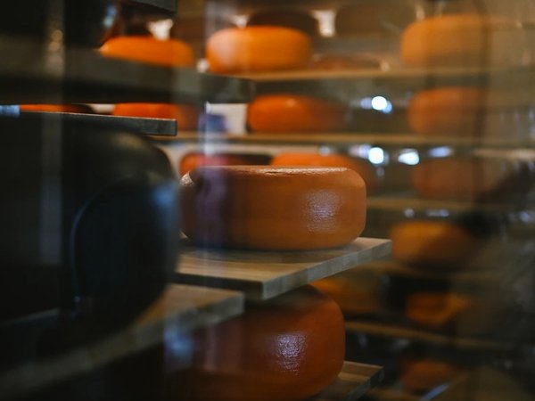 Куршская коса + Зеленоградск + фабрика «Шаакен Дорф» - фото 4