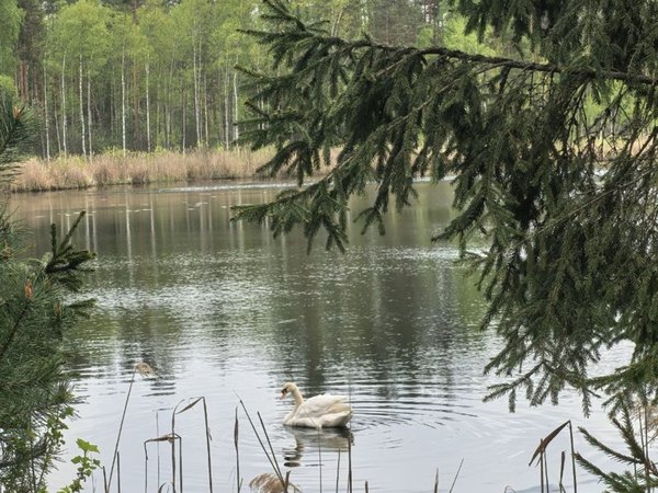 Орловское Полесье: по следам зубров, вятичей и героев Тургенева - фото 1