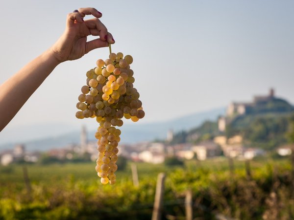 Винная экскурсия: Soave — вино любви
