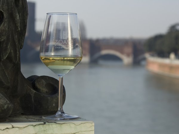 Винная экскурсия: Soave — вино любви - фото 4