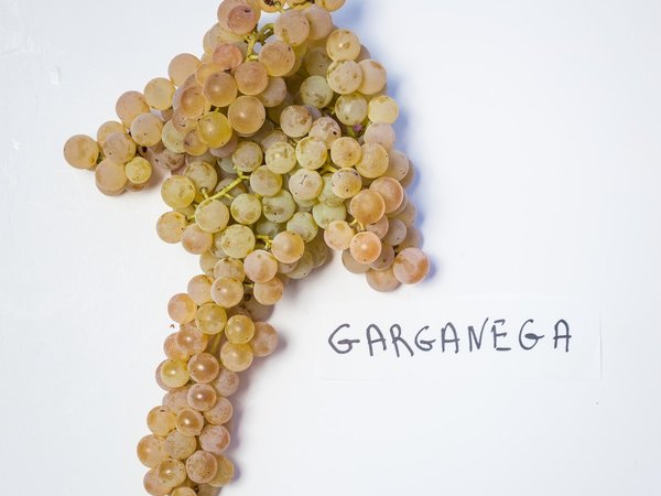 Винная экскурсия: Soave — вино любви - фото 2