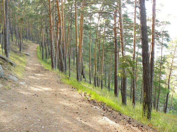 Восхождение на Болектау и экопрогулка в Боровом - фото 3