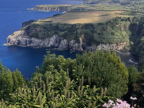 Фурнаш: водопад, чайные плантации и термальные источники - фото 2