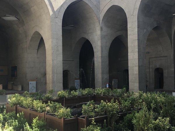 Фото туриста - 10