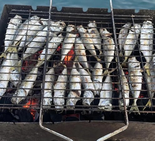 Черноморская рыбалка и пикник в открытом море