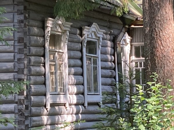 Лесная сторона Комарово: от дач до «будки» Ахматовой - фото 2