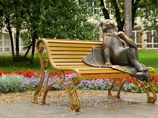 Квест в Йошкар-Оле «В поисках йошкиных котят»