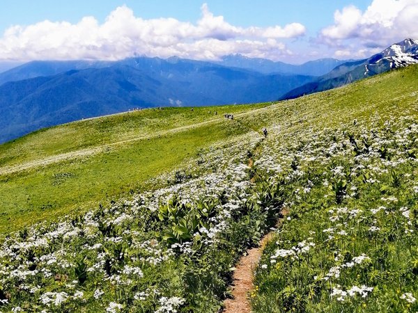 На пик Бзерпи! Треккинг по Кавказскому заповеднику - фото 4