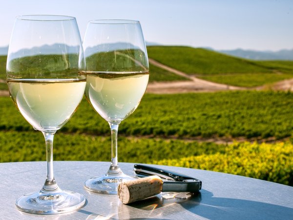 Из Сан-Франциско — в винный вояж по долинам Сонома и Напа - фото 1