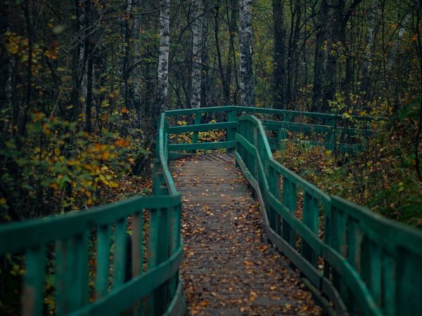 Старинное село Серебряное (из Омска) - фото 2