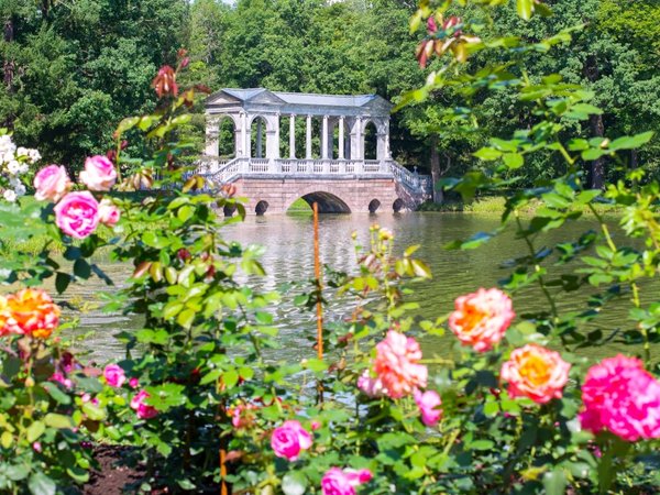 Экскурсия в Царское Село и Екатерининский дворец (билеты включены) - фото 2