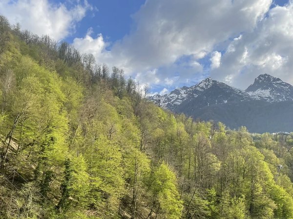 Едем в горы! Из Сочи — на курорты Красной Поляны - фото 3