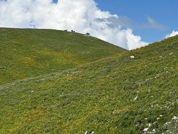 Мамдзышха и заброшки Гагры — на минивэне - фото 4