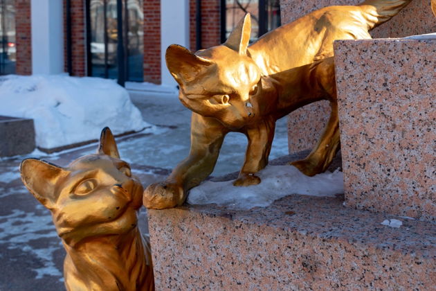 Фото экскурсии - Индивидуальная экскурсия по Тюмени с начинающим гидом - 5