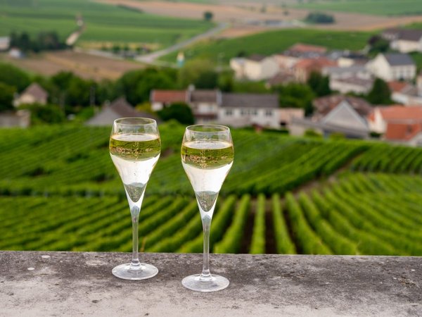 Влюбиться в Шампань за 1 день! - фото 1