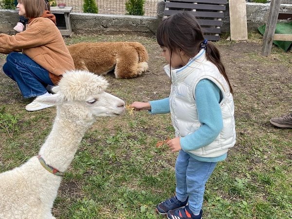 Деревня альпак и Долина нарзанов: душевное семейное путешествие из Пятигорска - фото 2