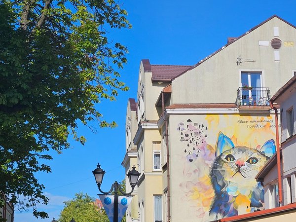 Зеленоградск, Светлогорск, Филинская бухта и Янтарный за 1 день (из Зеленоградска)