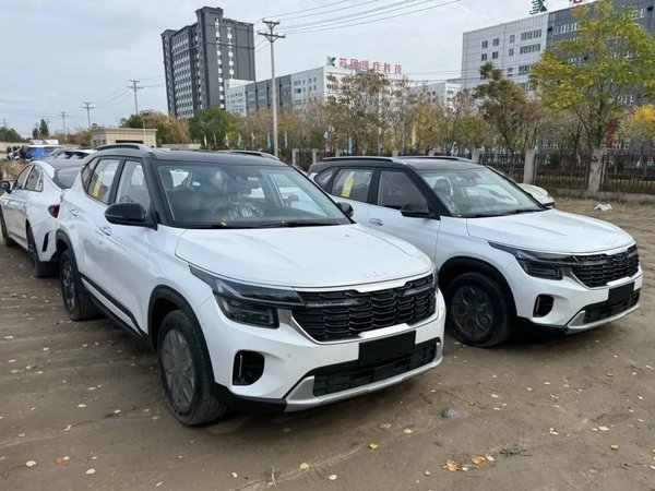 Трансфер из аэропорта или вокзала Самарканда в любую точку города (или наоборот) - фото 3