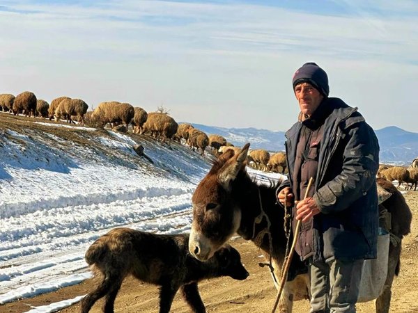Из Баку — к марсианским пейзажам, горящей горе, розовому озеру и скале Бешбармаг - фото 4