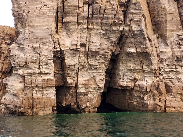 На катере к необитаемым островам и тюленям-ларгам (из Владивостока) - фото 2