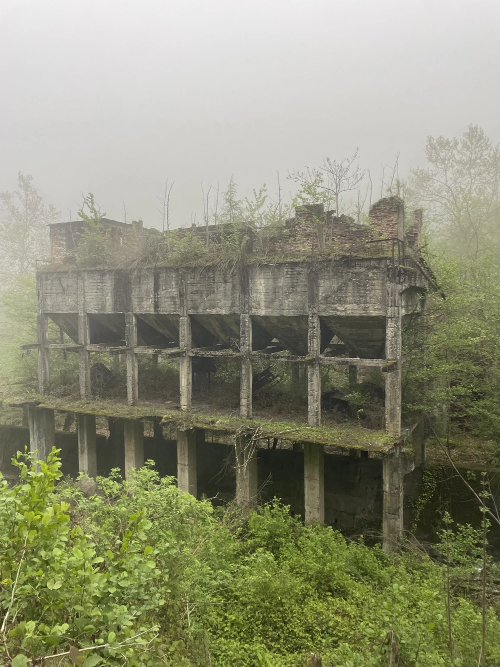 В Акармара и Ткуарчал по следам советской Абхазии (из Сухума) - фото 2
