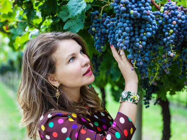 Эногастрономическое путешествие: секреты Amarone