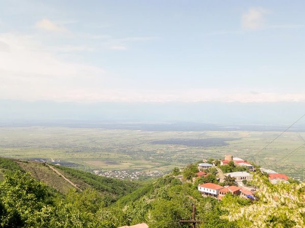 Край вина и песен: путешествие в Кахетию из Тбилиси - фото 3