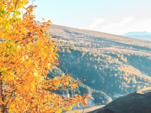 Аргунское ущелье, музей Пхакоч и горный курорт Ведучи за 1 день - фото 4
