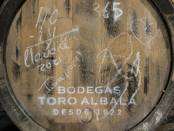 Из Кордовы — на винодельню Toro Albalá со 100-летней историей - фото 4